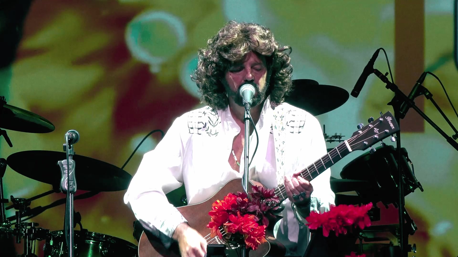 Cat Stevens Peace Train